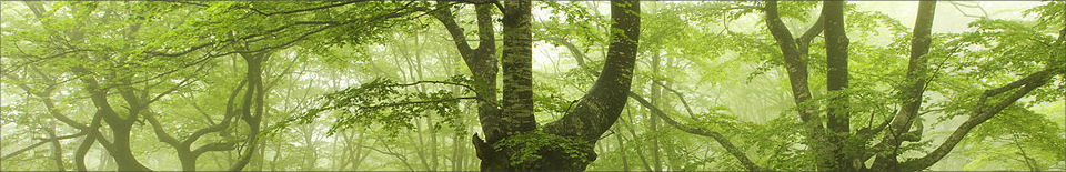 Psychotherapy Cornwall Psychotherapy Cornwall