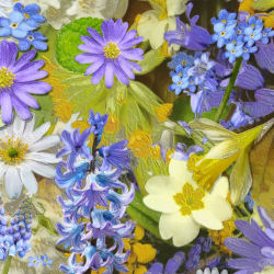 Debbie Hicks Counselling Cornwall Debbie Hicks Counselling Cornwall